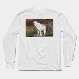 An Arctic Wolf Howls during the day Long Sleeve T-Shirt